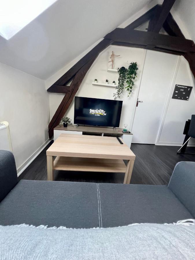 Bel Appartement Lumineux 35M2, Bord De Loire Saint-Jean-le-Blanc Εξωτερικό φωτογραφία