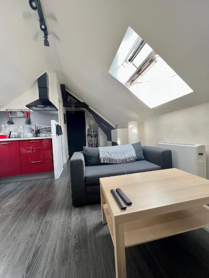 Bel Appartement Lumineux 35M2, Bord De Loire Saint-Jean-le-Blanc Εξωτερικό φωτογραφία