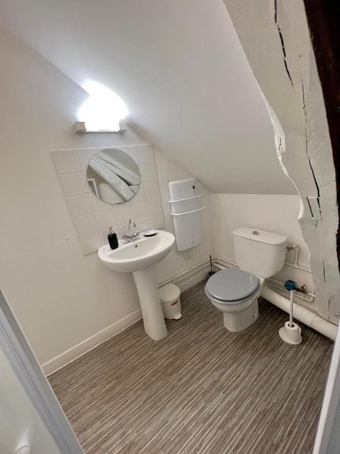 Bel Appartement Lumineux 35M2, Bord De Loire Saint-Jean-le-Blanc Εξωτερικό φωτογραφία