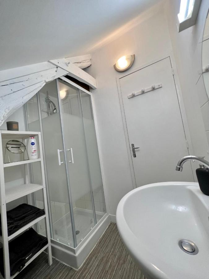 Bel Appartement Lumineux 35M2, Bord De Loire Saint-Jean-le-Blanc Εξωτερικό φωτογραφία