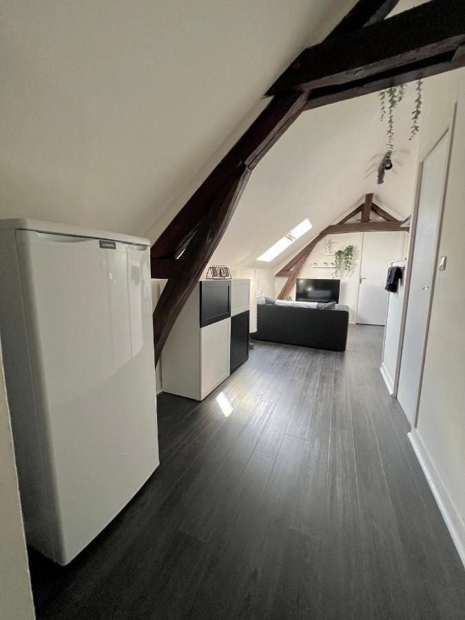 Bel Appartement Lumineux 35M2, Bord De Loire Saint-Jean-le-Blanc Εξωτερικό φωτογραφία
