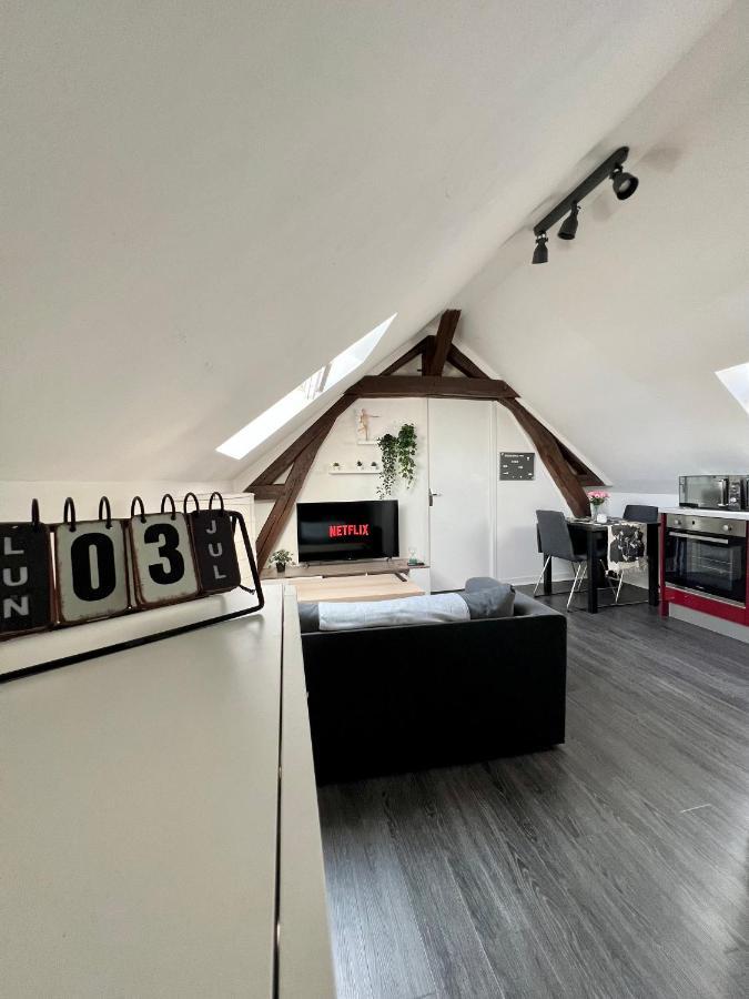 Bel Appartement Lumineux 35M2, Bord De Loire Saint-Jean-le-Blanc Εξωτερικό φωτογραφία