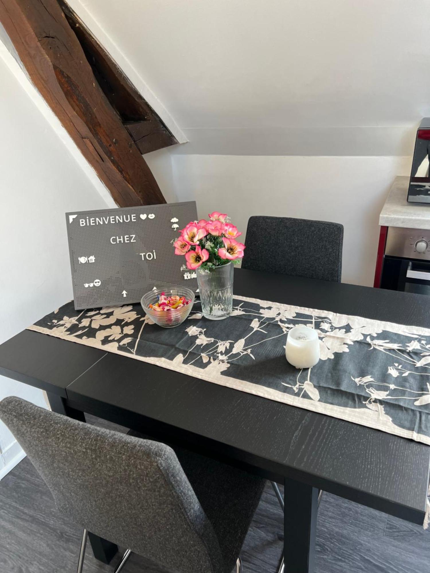 Bel Appartement Lumineux 35M2, Bord De Loire Saint-Jean-le-Blanc Εξωτερικό φωτογραφία